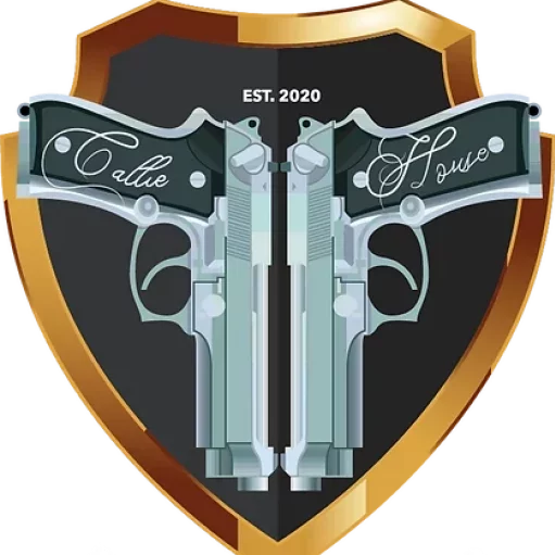 Tennessee Guns Inc