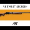 A5 Wicked Wing Sweet Sixteen – Realtree Max-7
